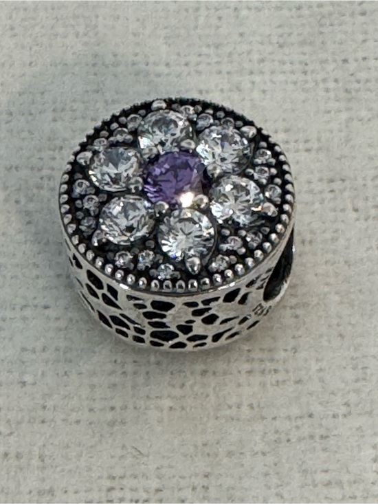 Pandora Jewelry - Pandora Sterling Silver Floral Charm with Purple Center Stone-New